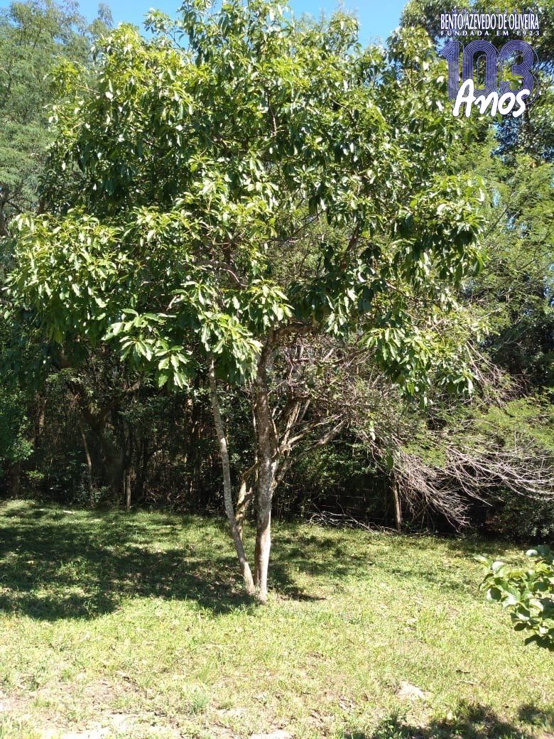 Sítio, 4 quartos, 8 hectares - Foto 40