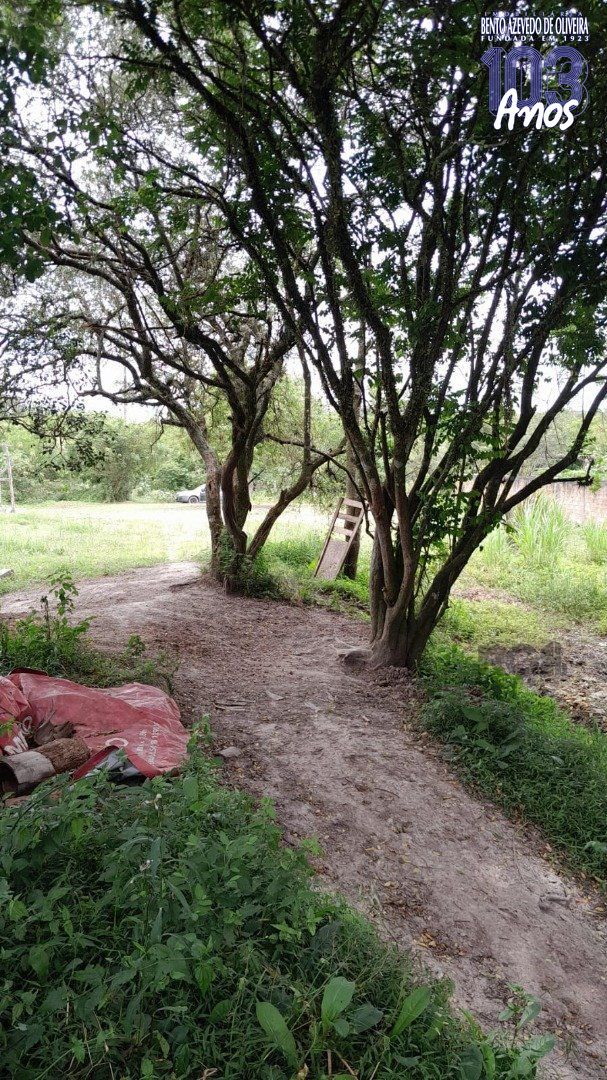 Terreno, 1000 m² - Foto 4