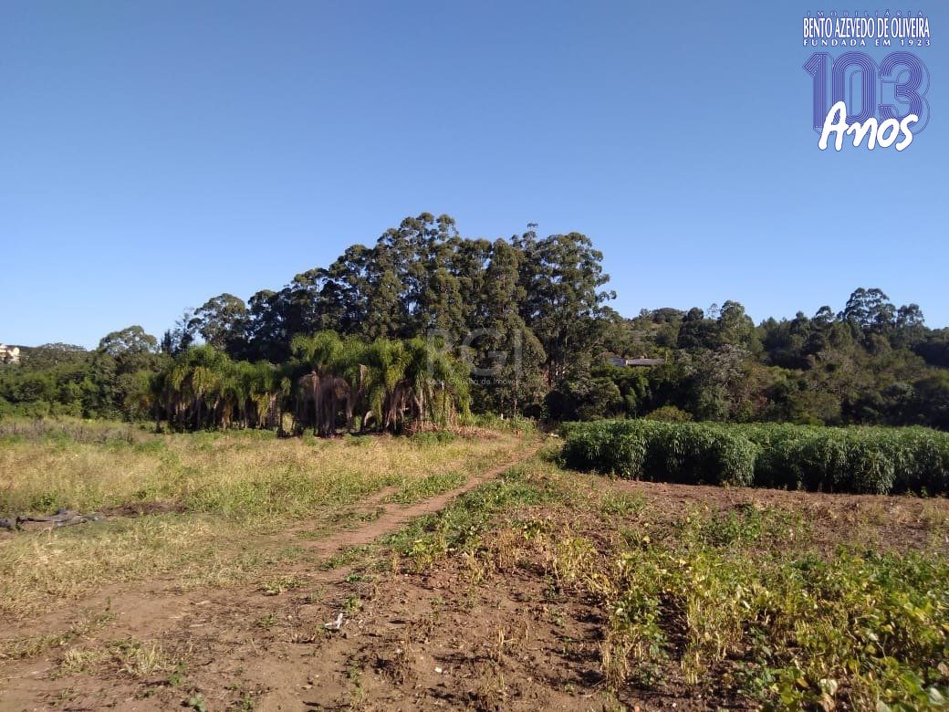 Terreno, 4 hectares - Foto 14