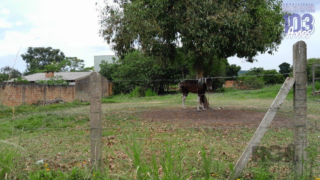 Terreno, 1000 m² - Foto 1