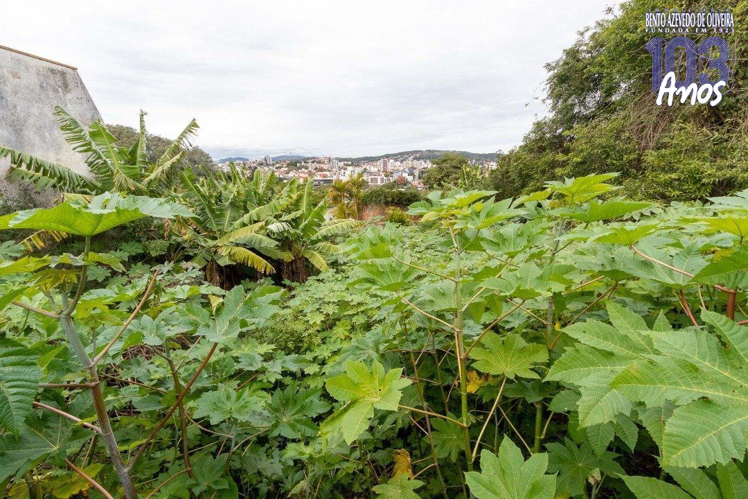 Terreno, 590 m² - Foto 5