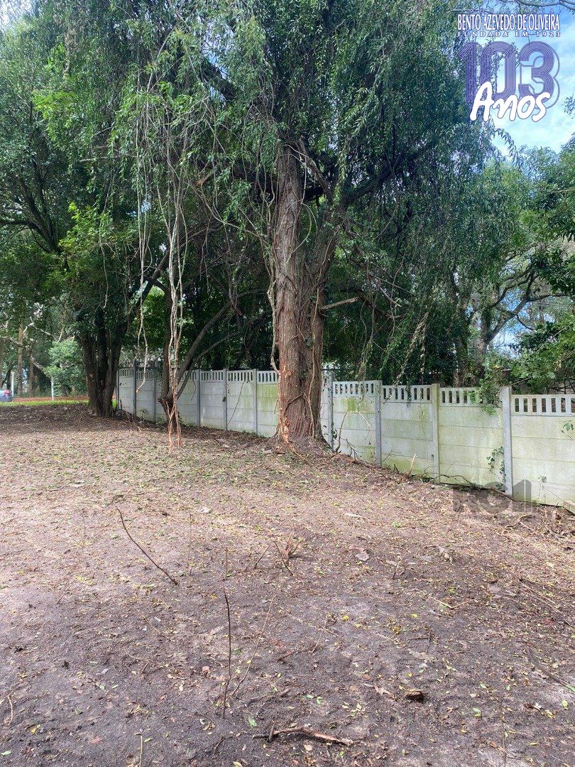 Terreno, 2490 m² - Foto 6