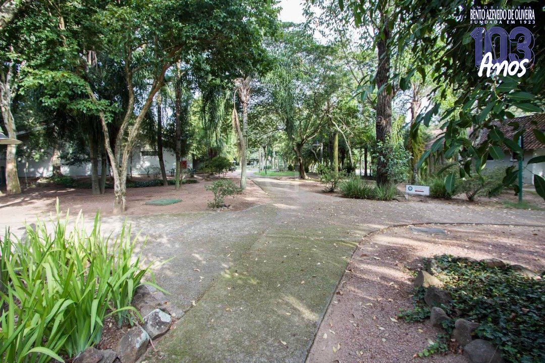 Terreno, 1000 m² - Foto 3