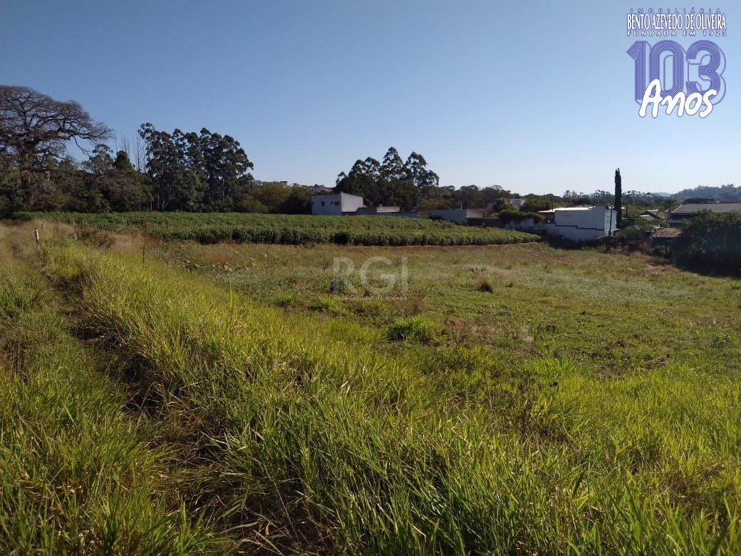 Terreno, 4 hectares - Foto 2