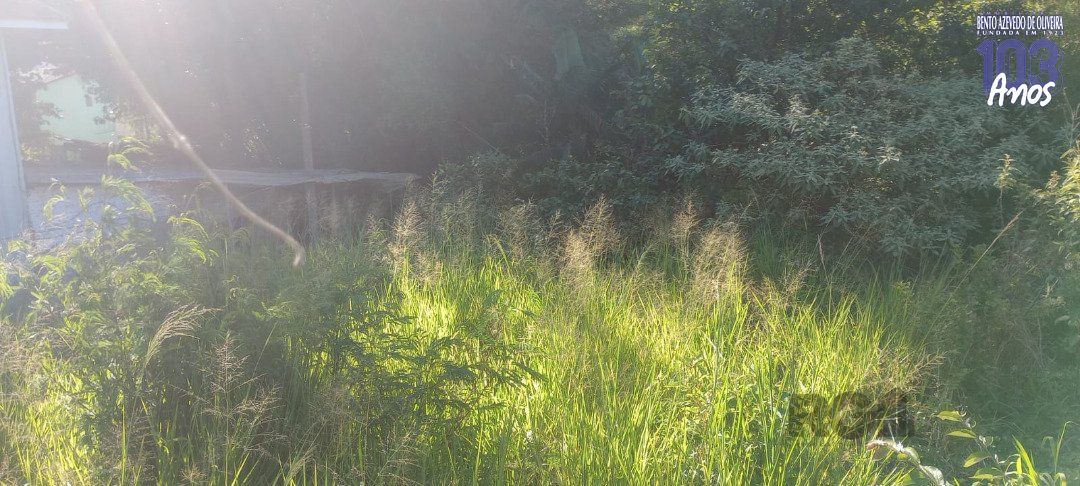 Terreno, 653 m² - Foto 7