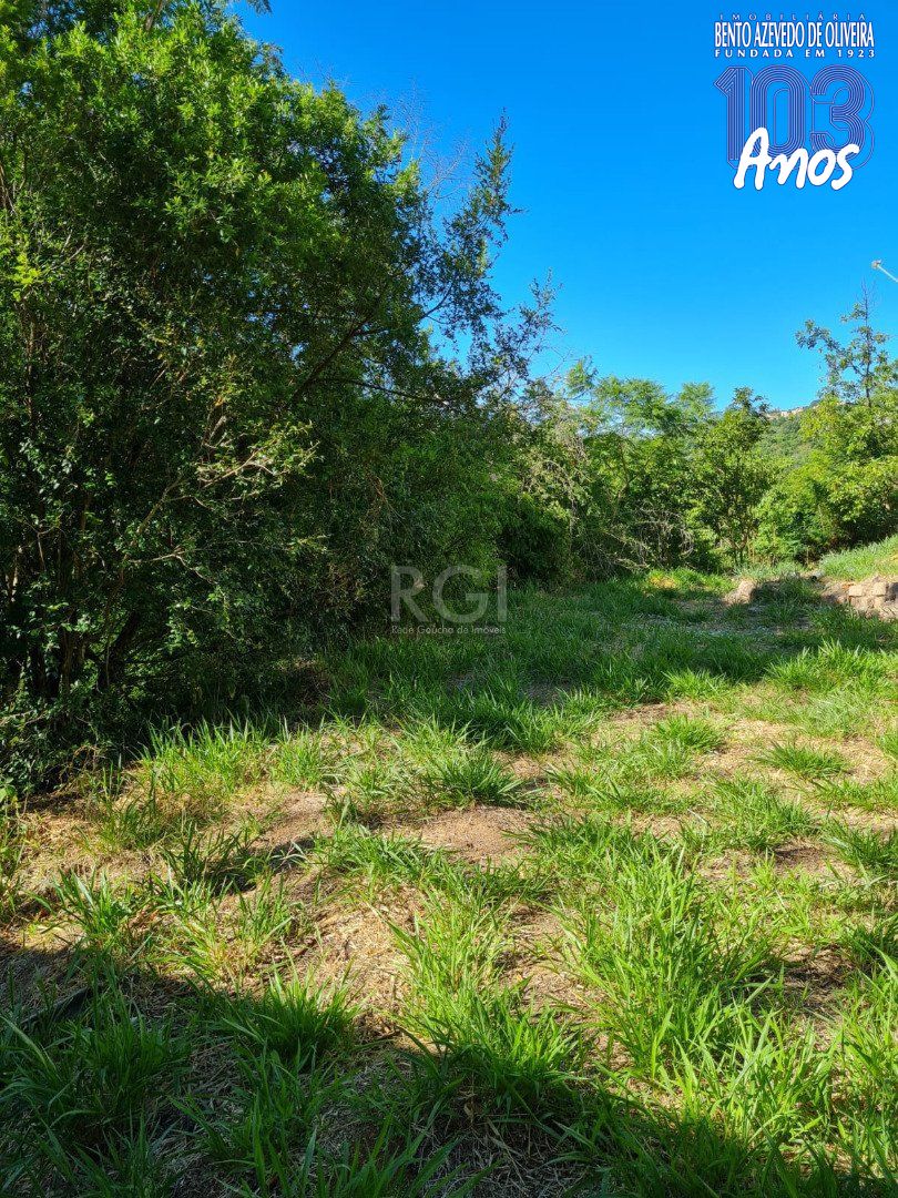 Terreno, 3 hectares - Foto 3