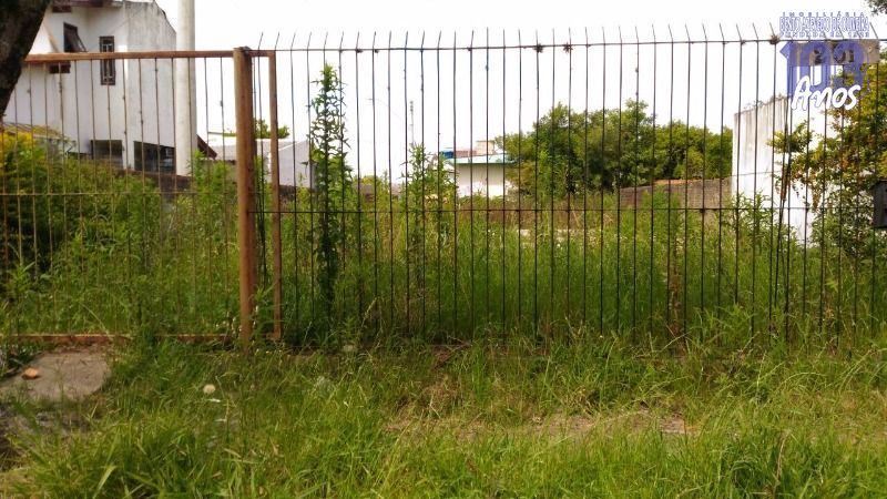 Terreno, 300 m² - Foto 3