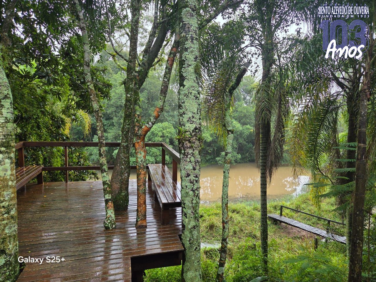 Chácara, 3 quartos, 6000 m² - Foto 9