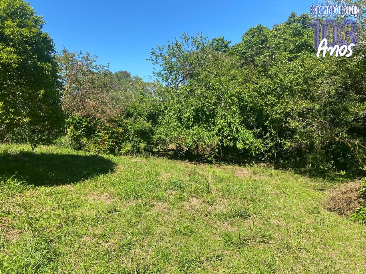 Terreno, 9750 m² - Foto 14