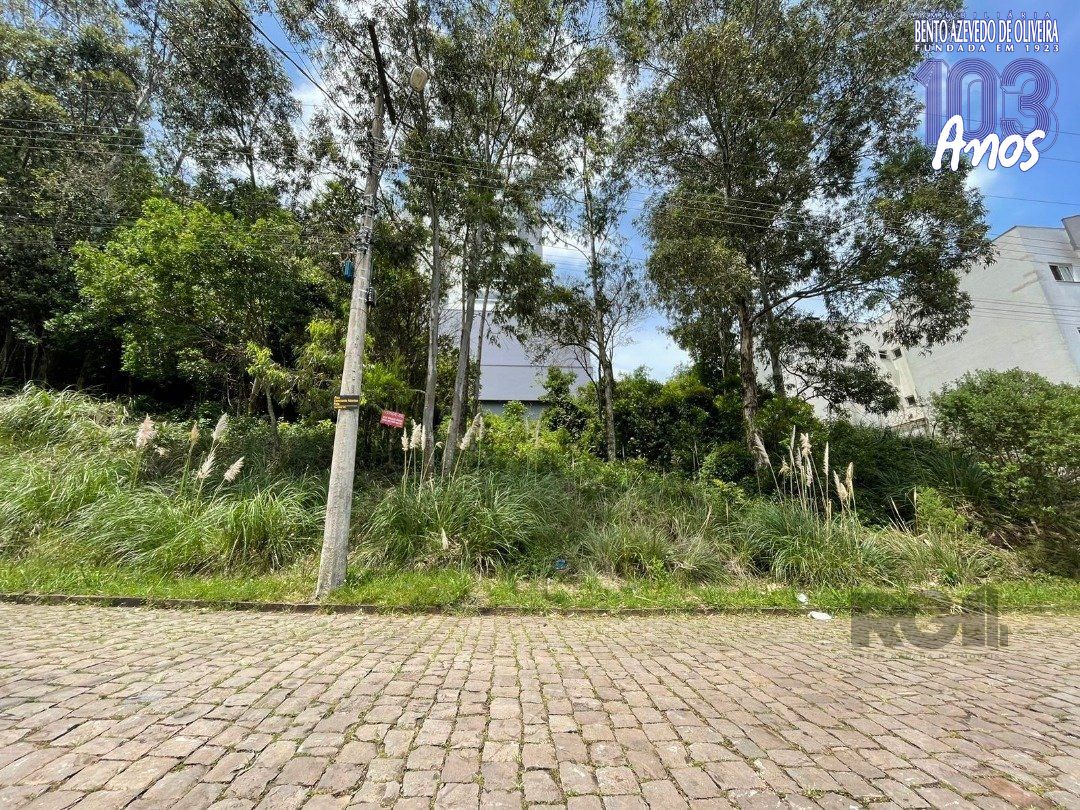 Terreno, 1 hectares - Foto 6