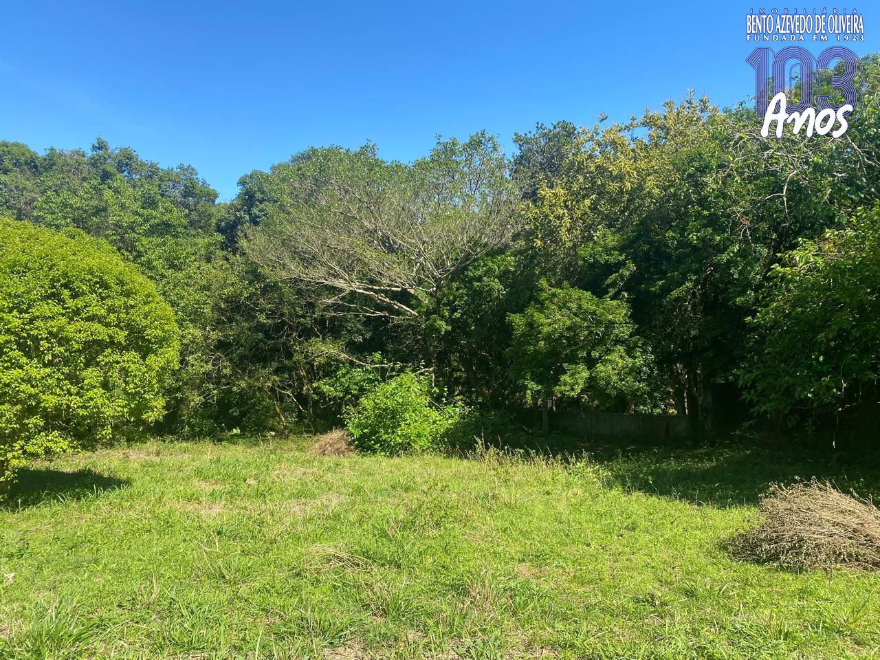Terreno, 9750 m² - Foto 11