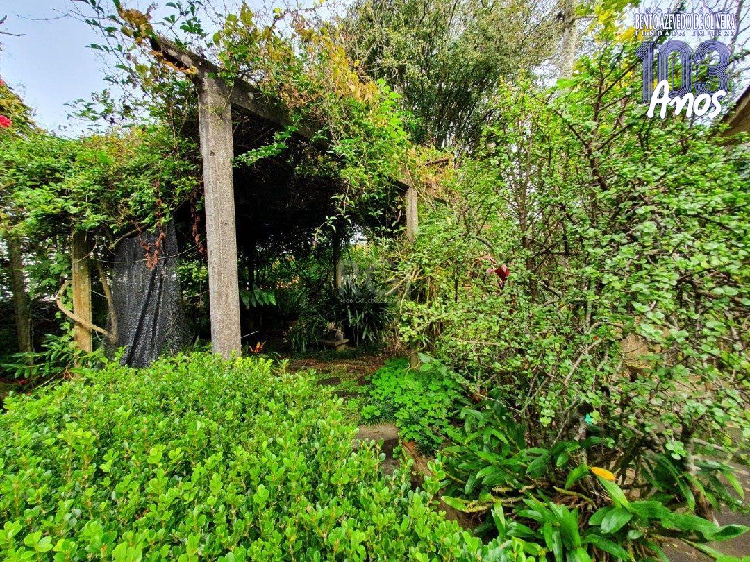 Terreno, 5332 m² - Foto 3
