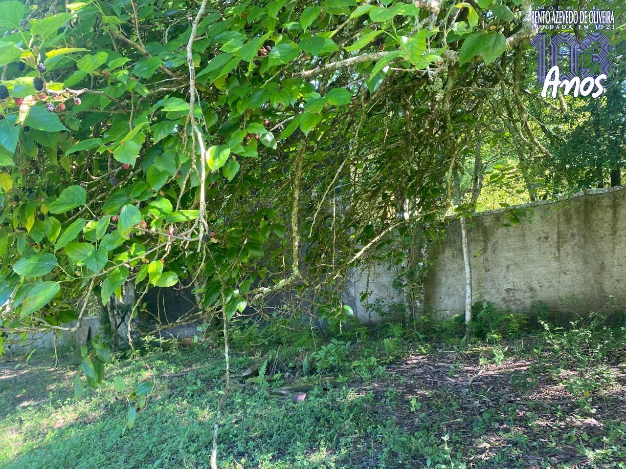 Terreno, 9750 m² - Foto 13