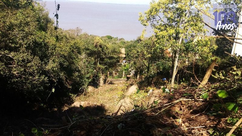 Terreno, 778 m² - Foto 6