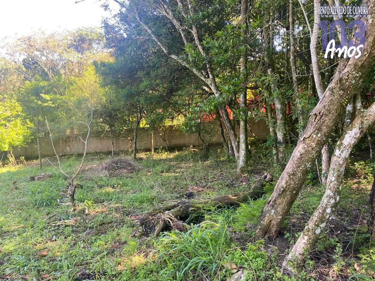 Terreno, 9750 m² - Foto 7