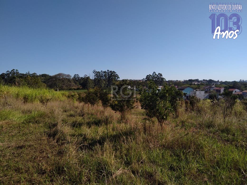 Terreno, 4 hectares - Foto 11