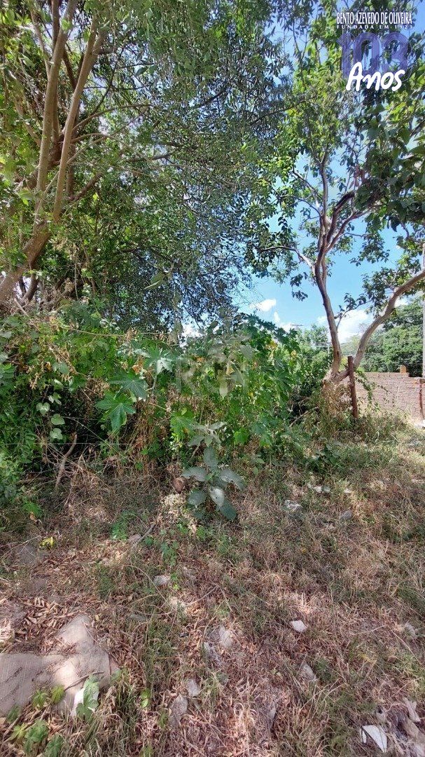 Terreno, 282 m² - Foto 5