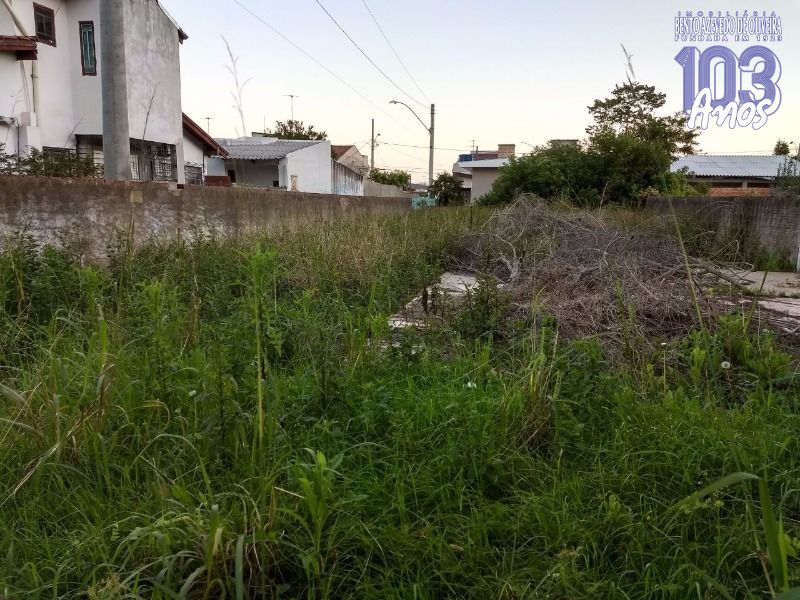 Terreno, 300 m² - Foto 6