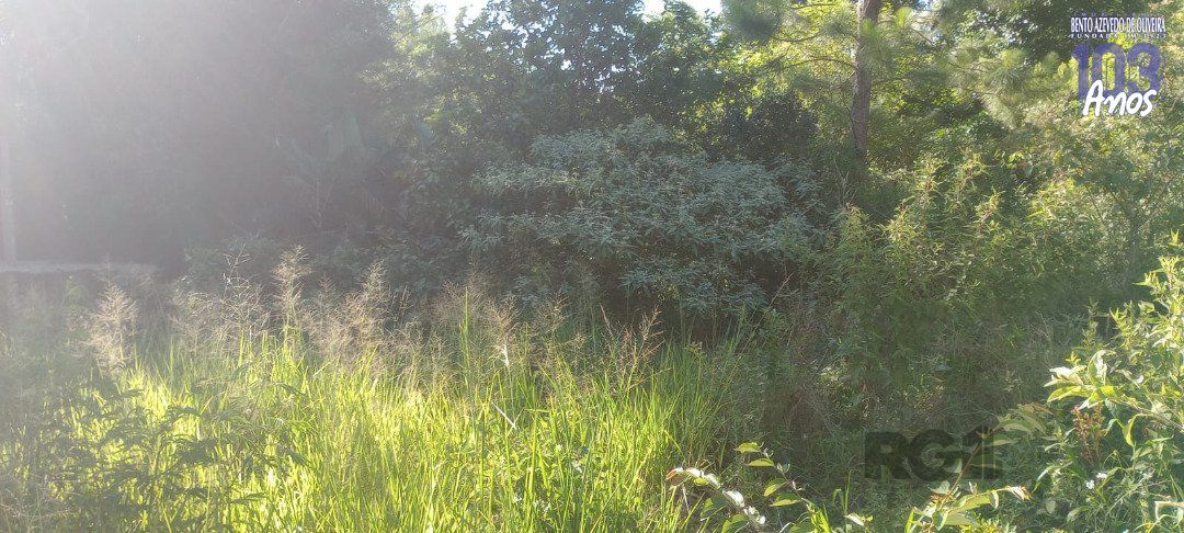Terreno, 653 m² - Foto 5