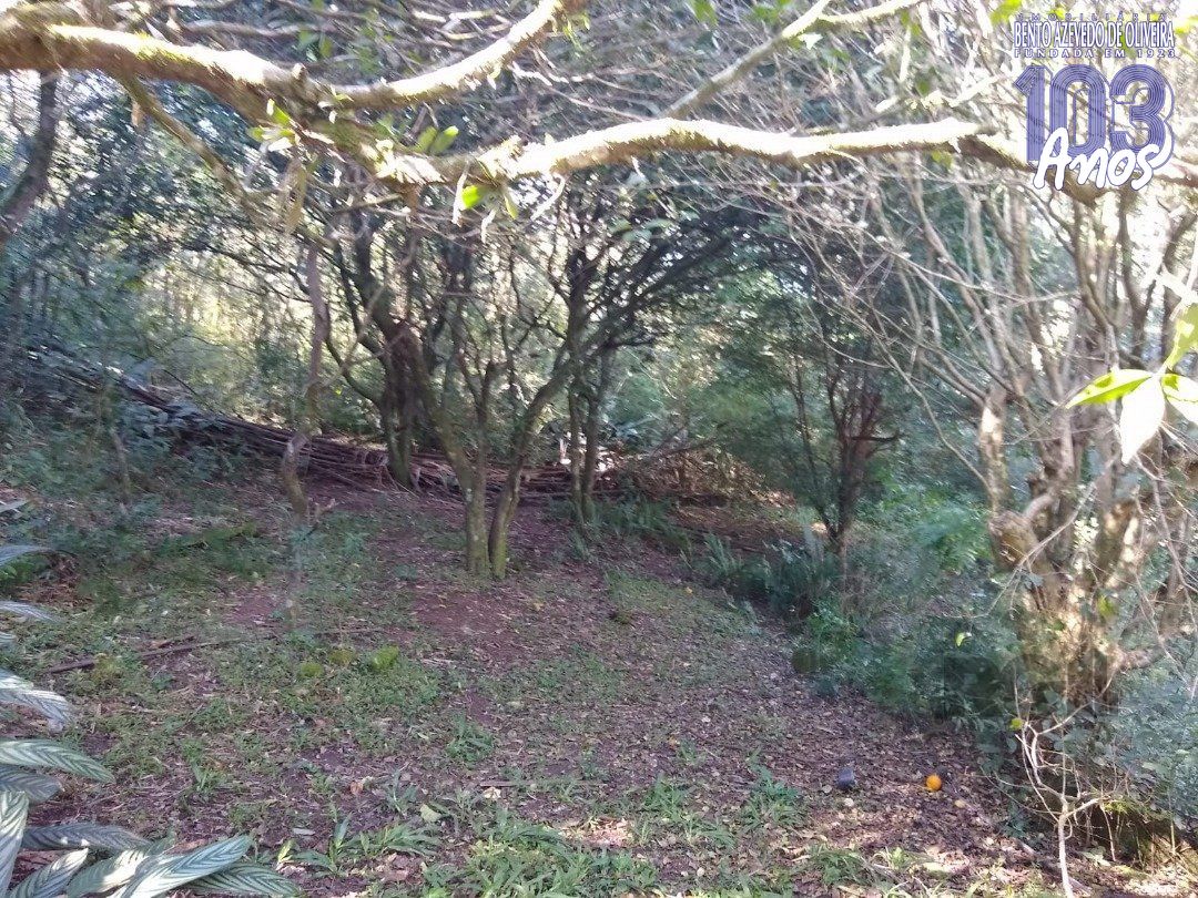 Terreno, 3032 m² - Foto 17