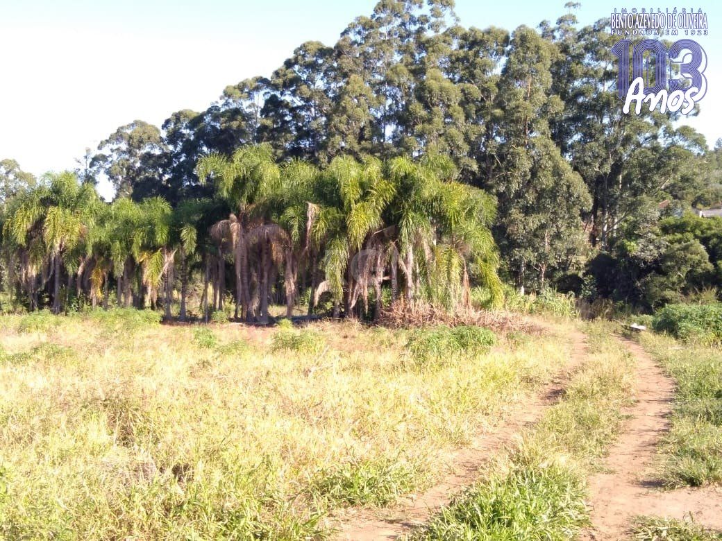Terreno, 4 hectares - Foto 3