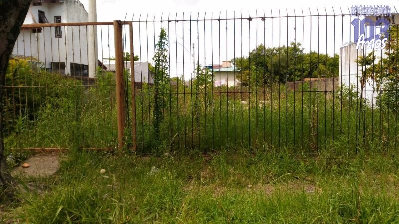 Terreno, 300 m² - Foto 5