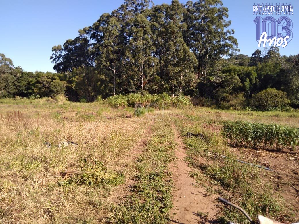 Terreno, 4 hectares - Foto 13