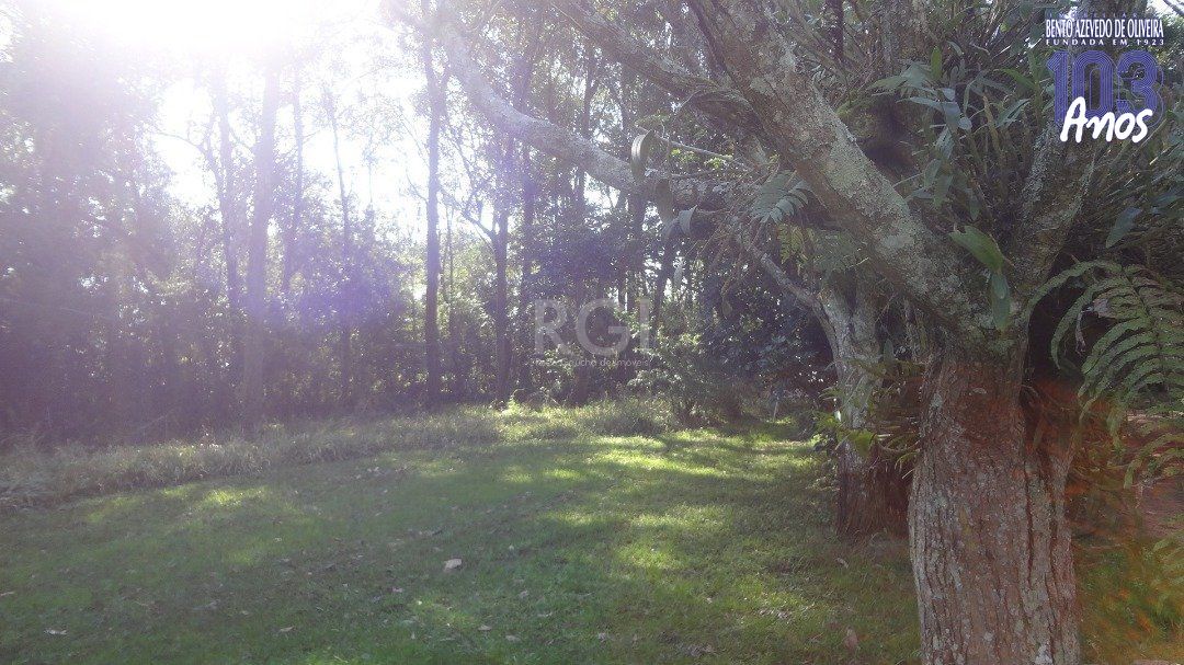 Terreno, 5600 m² - Foto 3