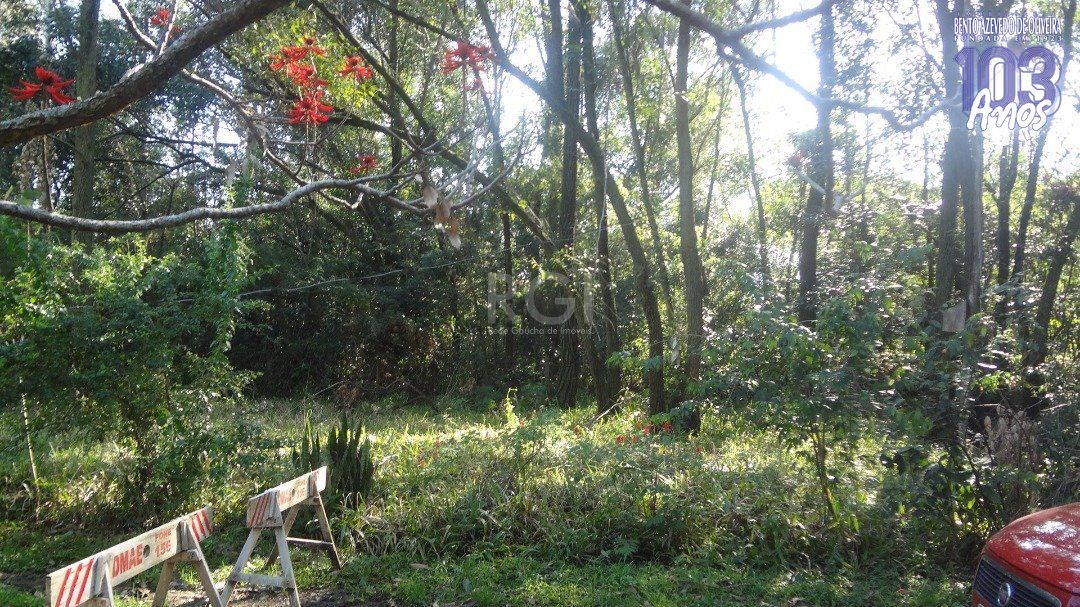 Terreno, 5600 m² - Foto 5
