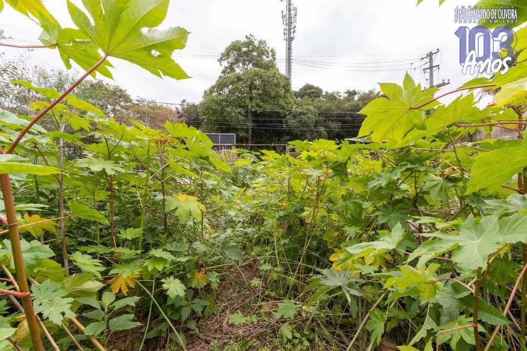 Terreno, 590 m² - Foto 6