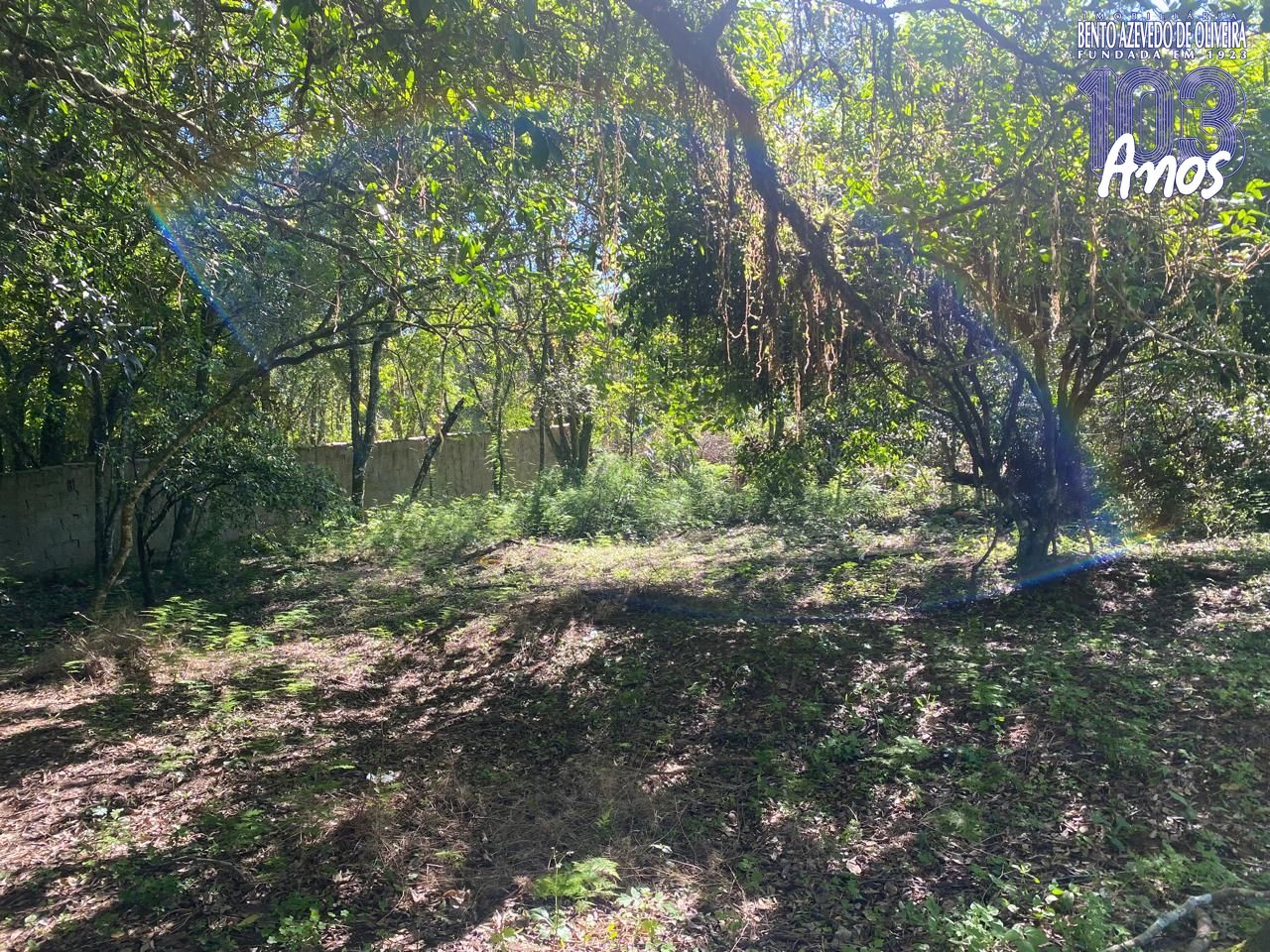 Terreno, 9750 m² - Foto 1