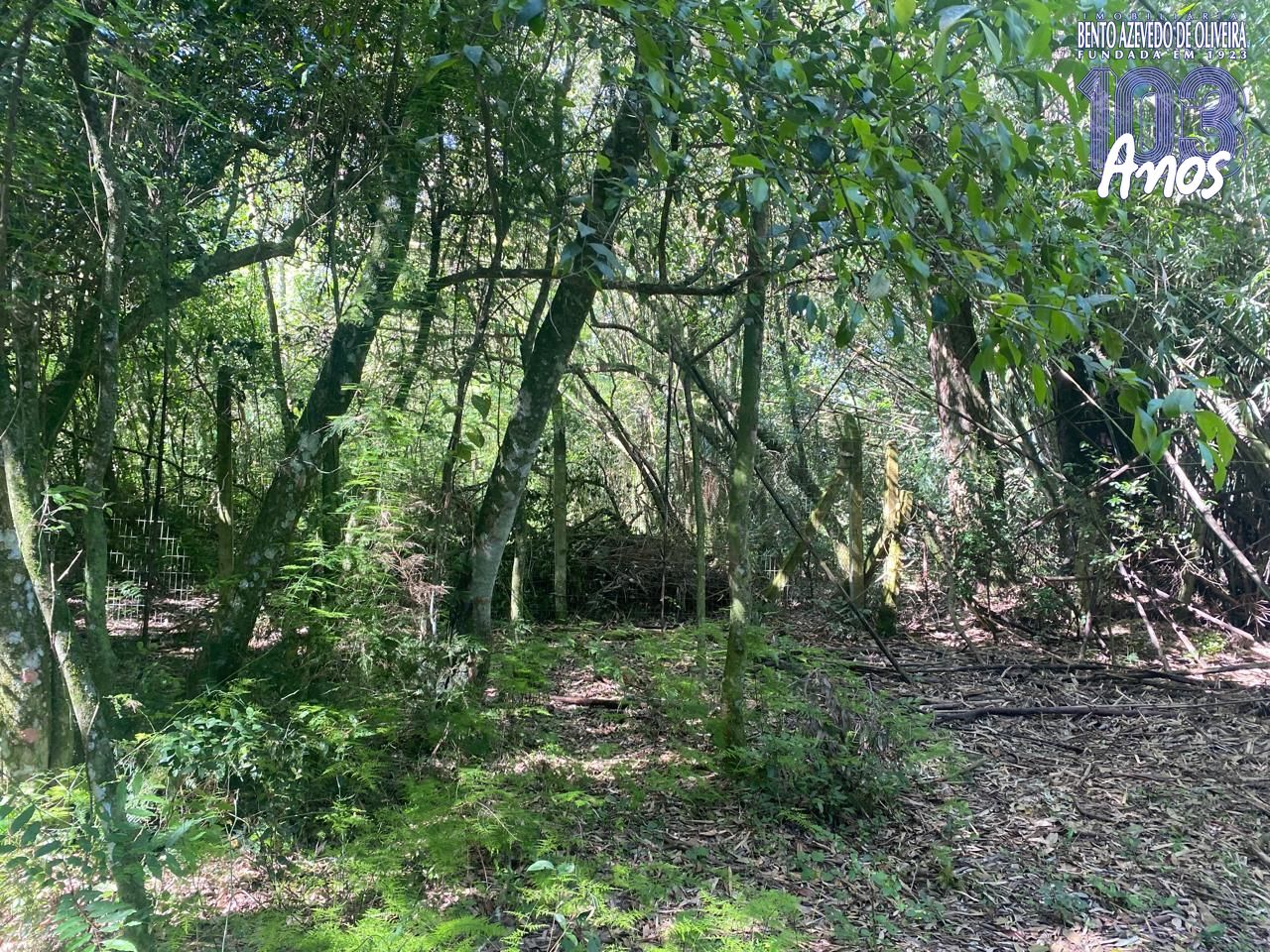 Terreno, 9750 m² - Foto 23