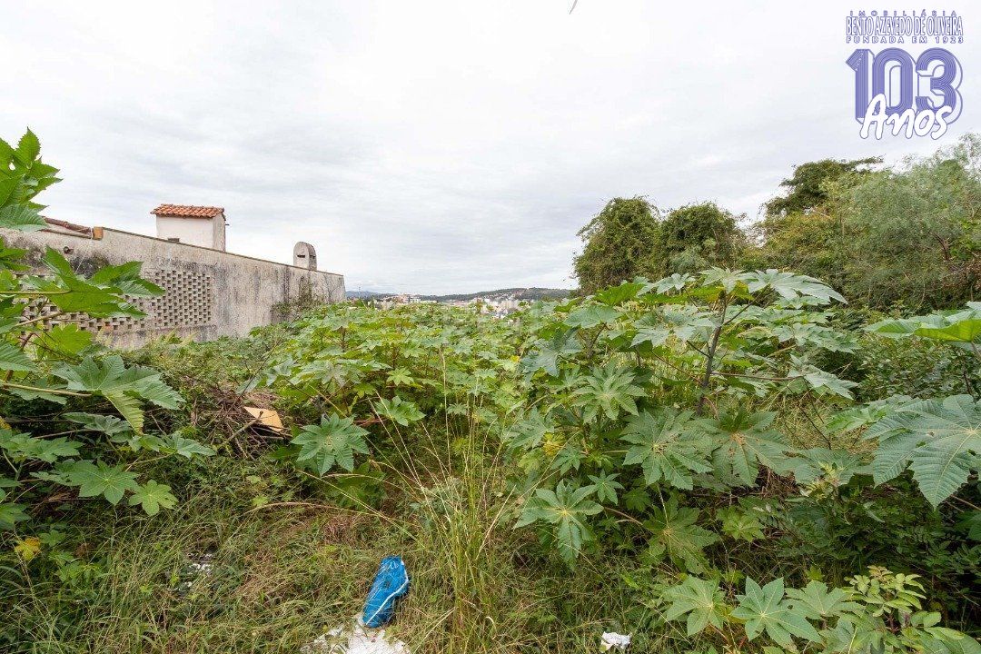 Terreno, 590 m² - Foto 4