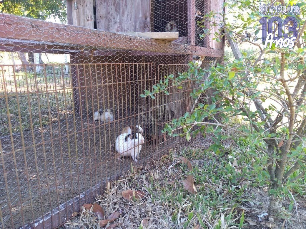 Sítio, 4 quartos, 8 hectares - Foto 34