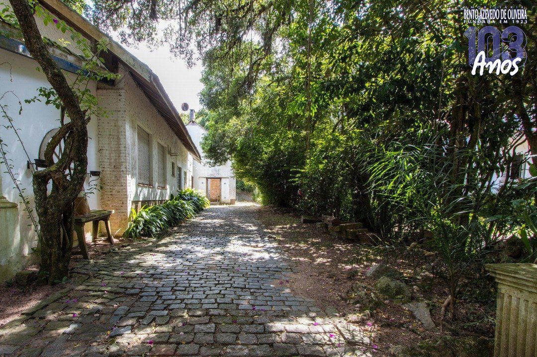 Casa, 7 quartos, 600 m² - Foto 8