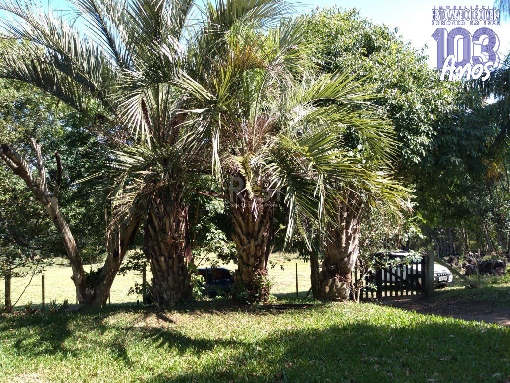 Sítio, 4 quartos, 8 hectares - Foto 10