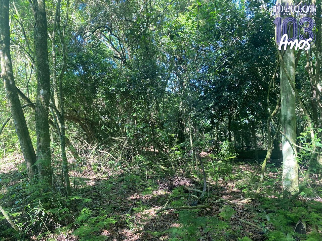 Terreno, 9750 m² - Foto 17