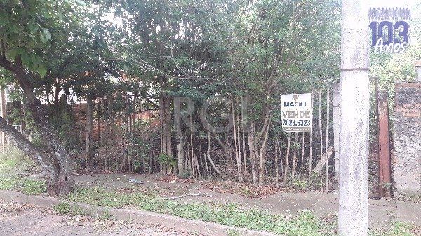 Terreno, 205 m² - Foto 2