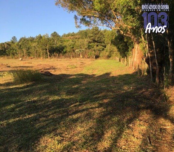 Terreno, 9562 m² - Foto 5