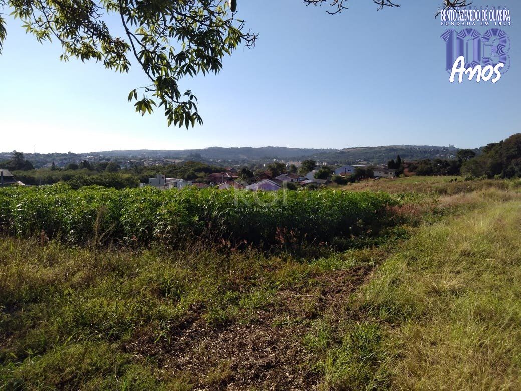 Terreno, 4 hectares - Foto 1