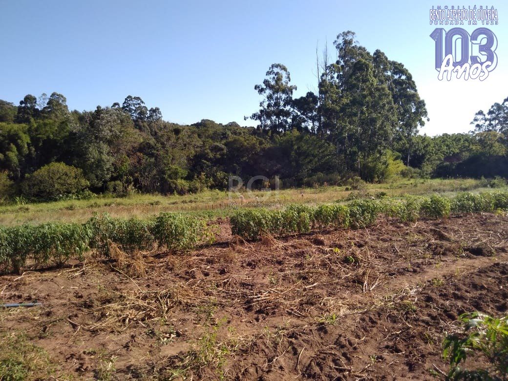 Terreno, 4 hectares - Foto 16