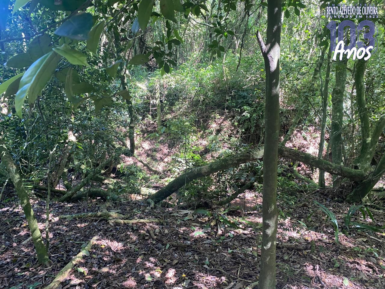Terreno, 9750 m² - Foto 20