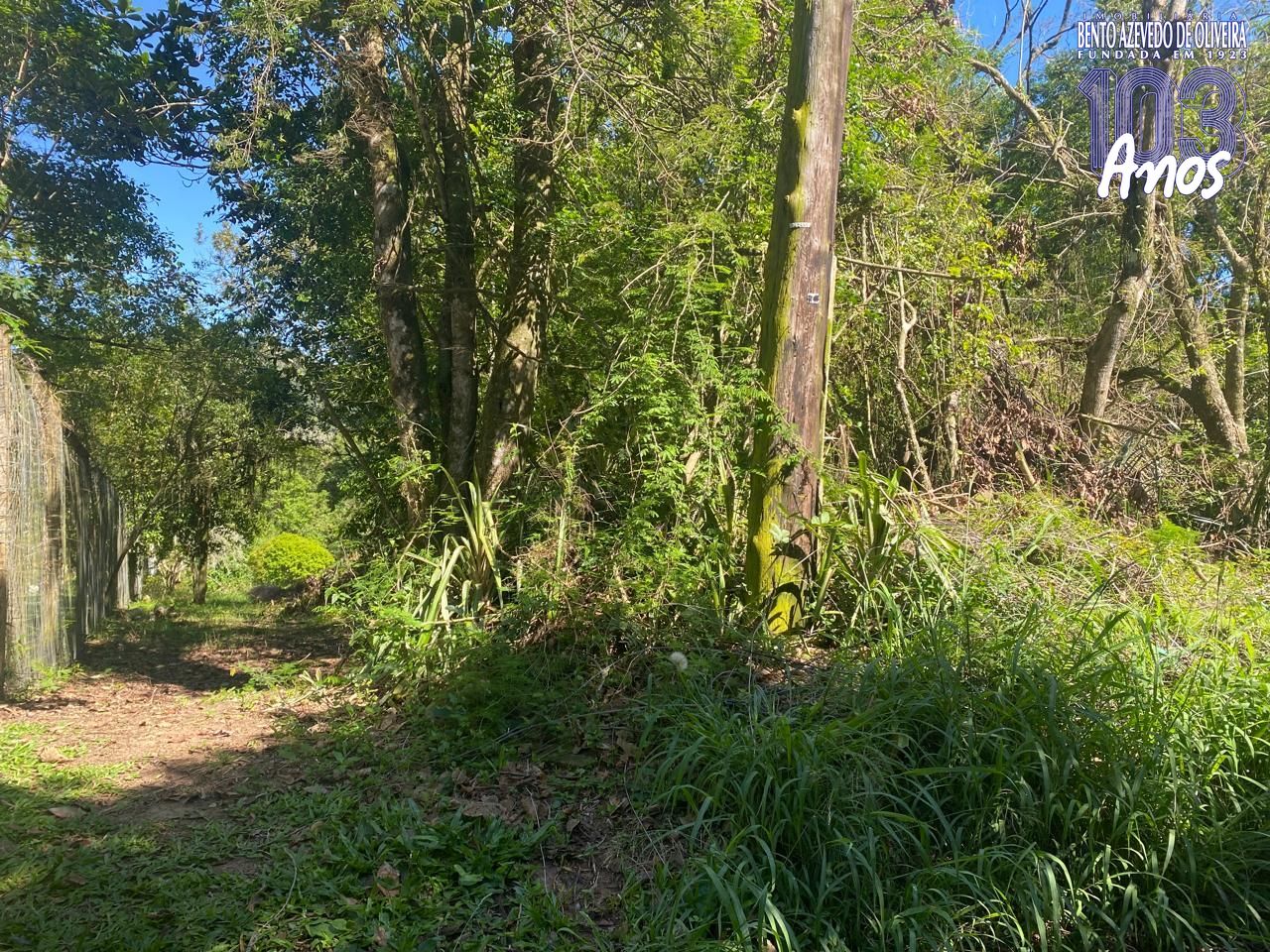 Terreno, 9750 m² - Foto 28