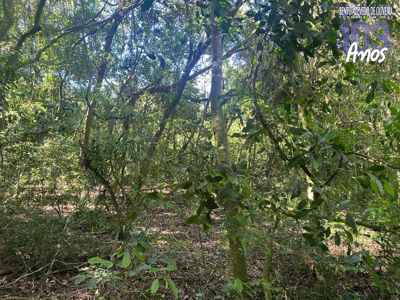 Terreno, 9750 m² - Foto 22