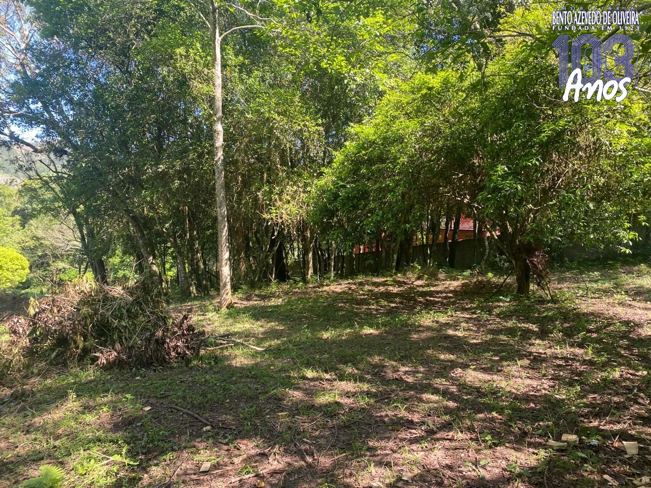 Terreno, 9750 m² - Foto 26