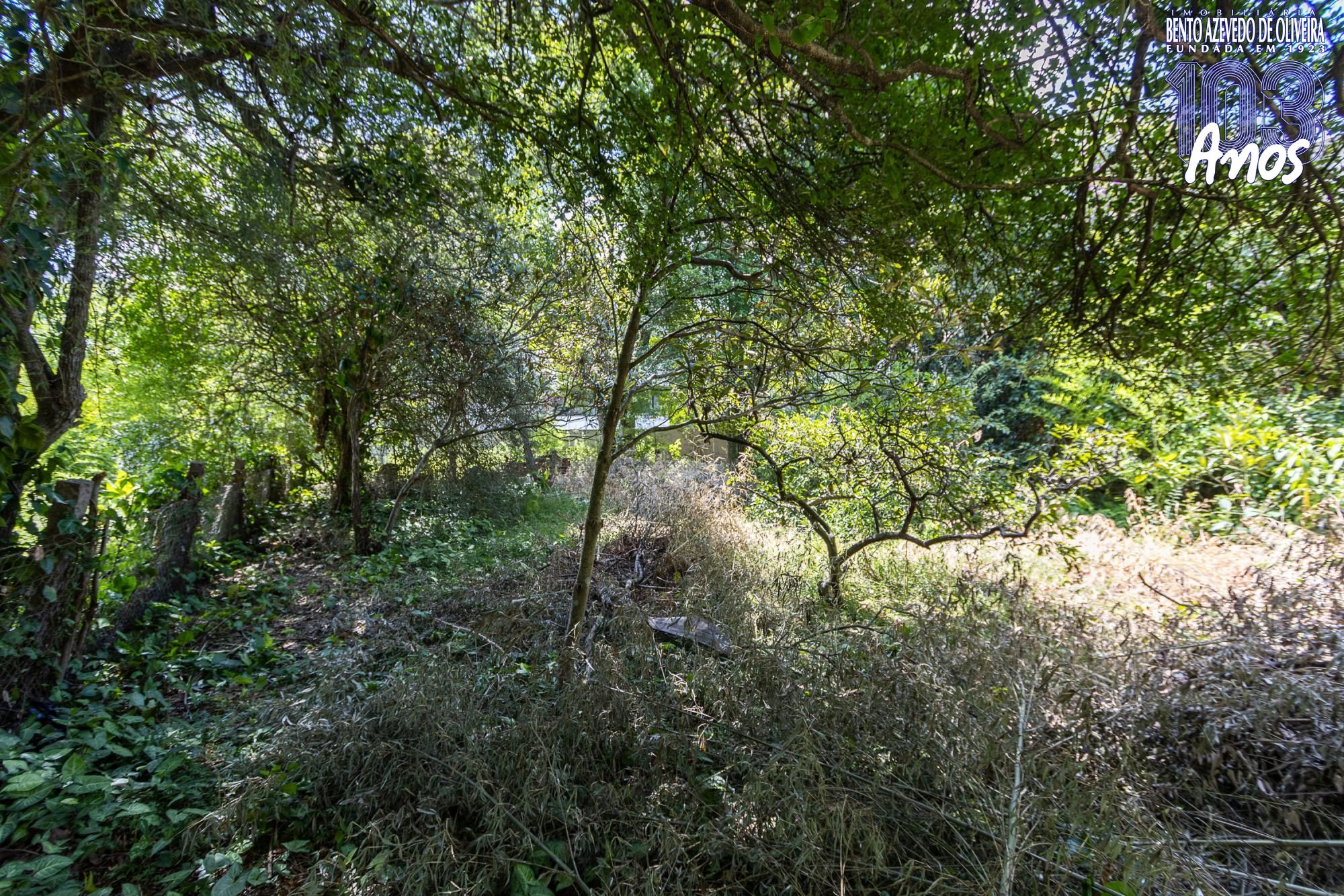 Terreno, 1 m² - Foto 14