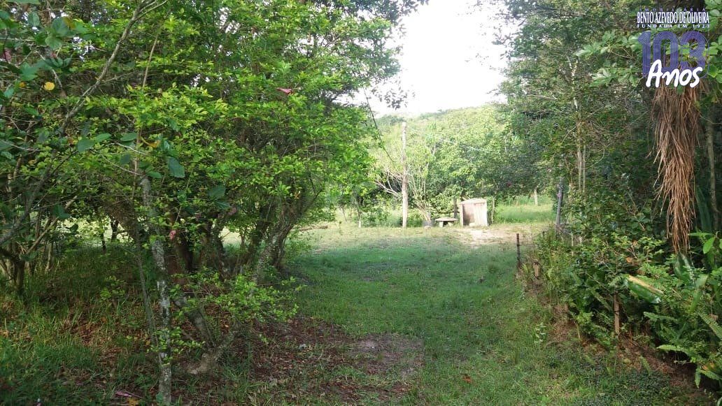 Terreno, 4 hectares - Foto 3