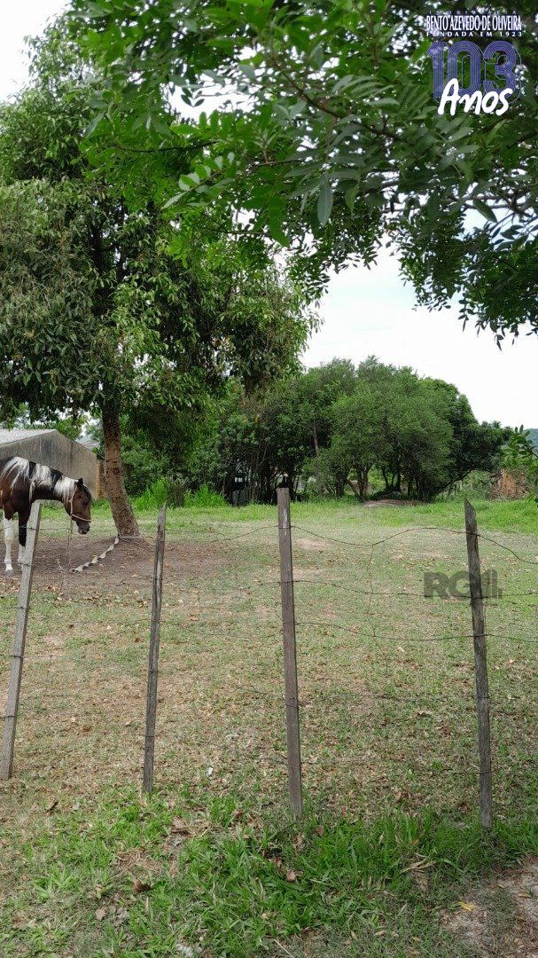 Terreno, 1000 m² - Foto 3