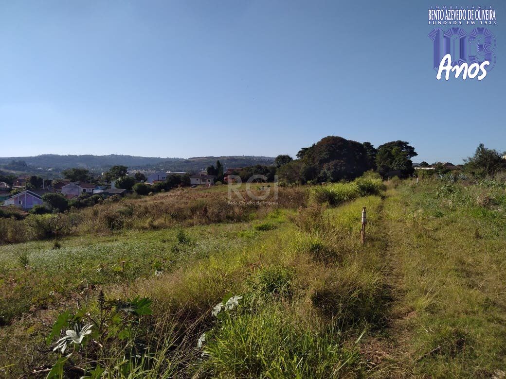 Terreno, 4 hectares - Foto 6
