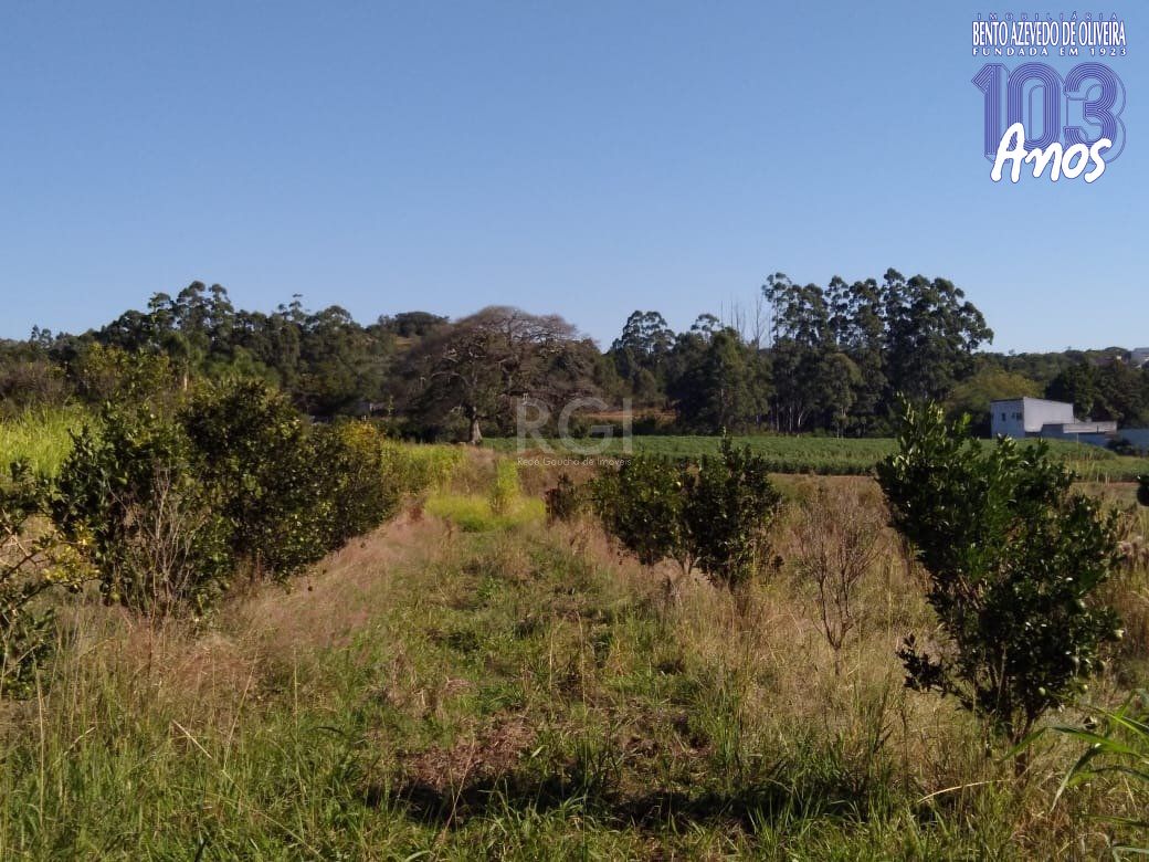 Terreno, 4 hectares - Foto 12